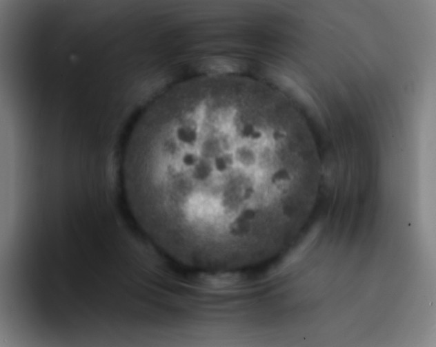 X0000094340359200711162014