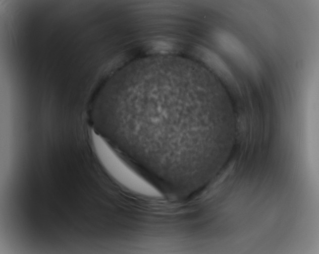 X0000094340361200711162014