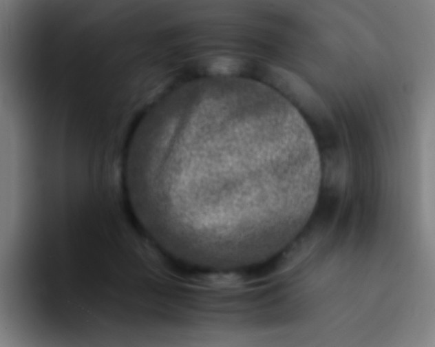 X0000094340363200711162014