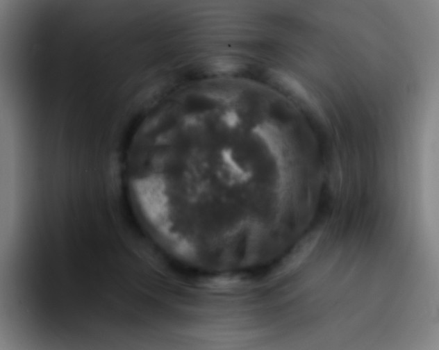 X0000094340366200711162014