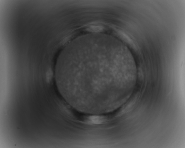 X0000094340371200711162014