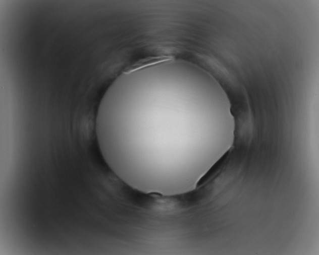 X0000094340376200711162015