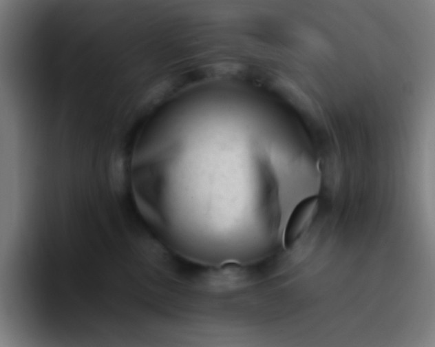 X0000094340378200711162015