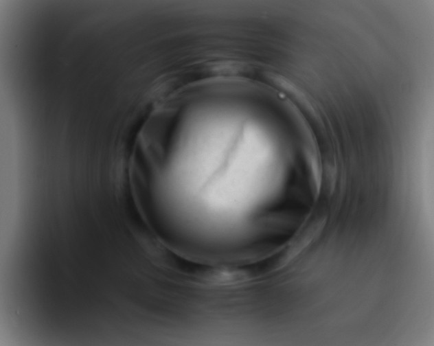 X0000094340379200711162015