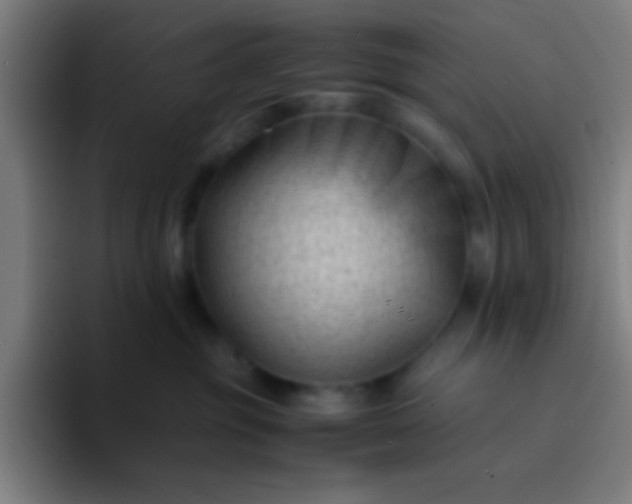 X0000094340381200711162015