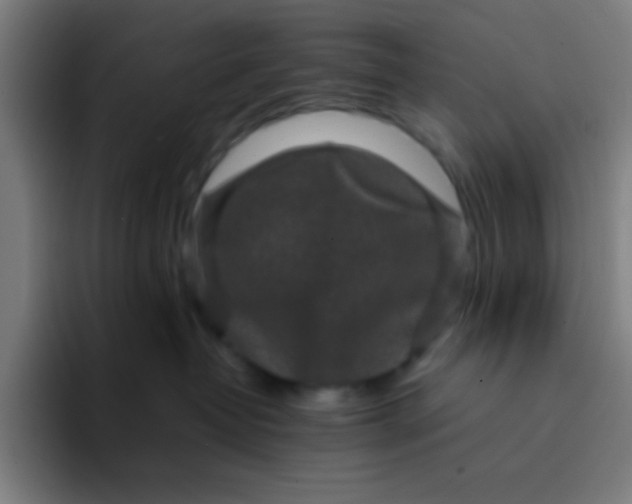 X0000094340382200711162015