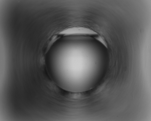 X0000094340384200711162015