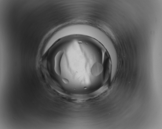 X0000094340388200711162014