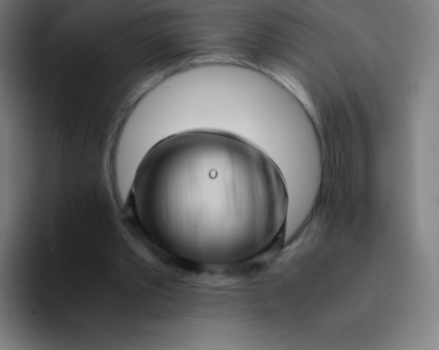 X0000094340389200711162014