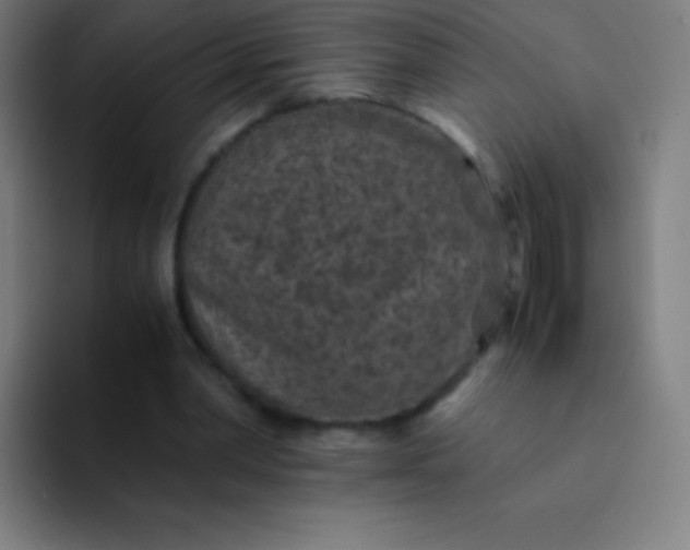 X0000094340390200711162014