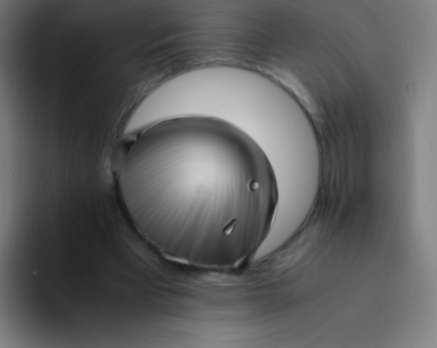 X0000094340393200711162014