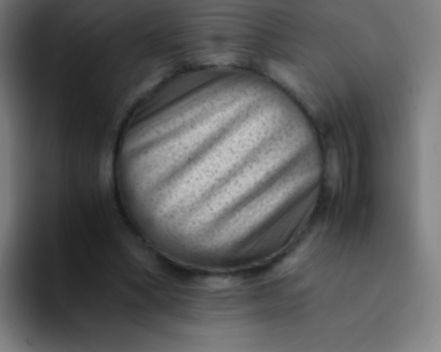 X0000094340394200711162014