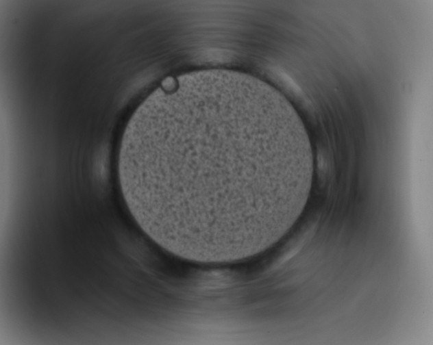 X0000094340396200711162014