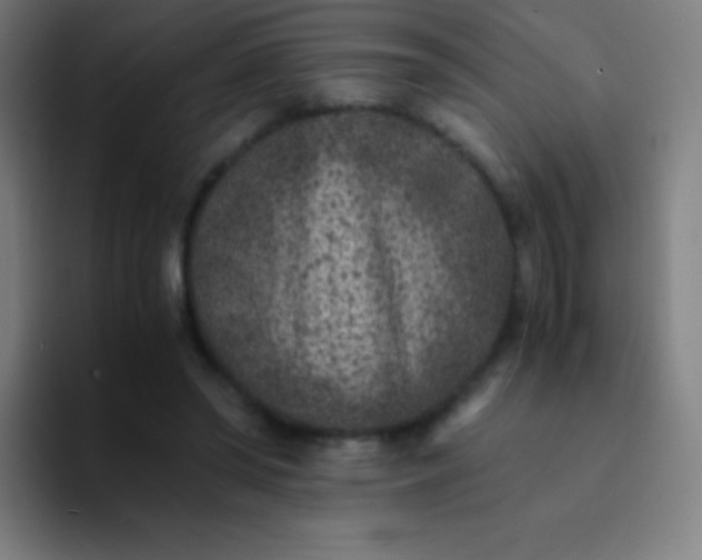 X0000094340398200711162014