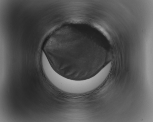 X0000094340399200711162014