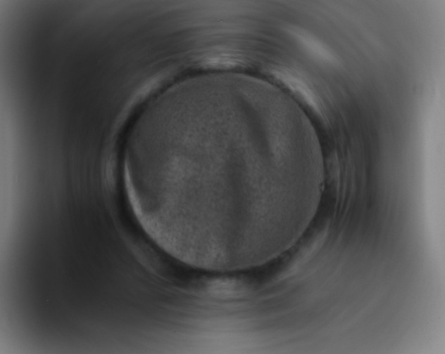 X0000094340400200711162014