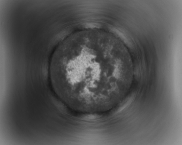 X0000094340402200711162014