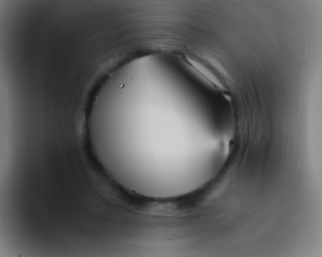 X0000094340403200711162014