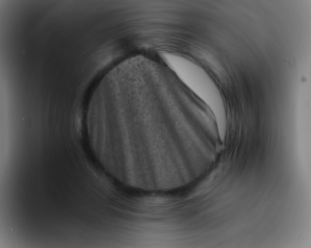 X0000094340404200711162014