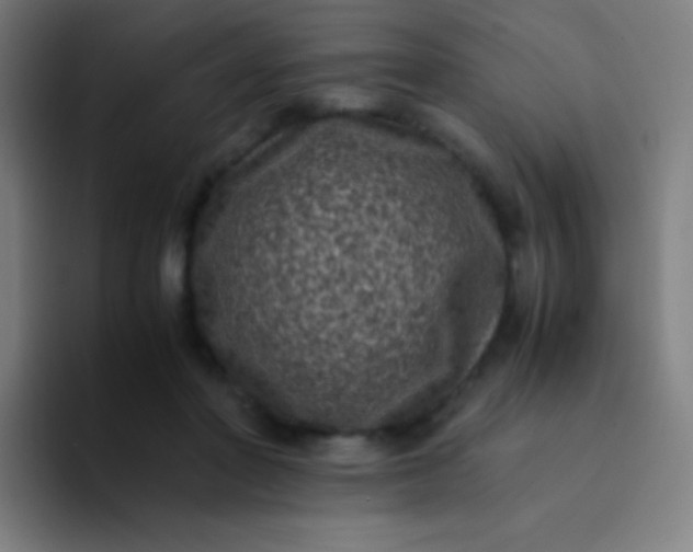 X0000094340406200711162014