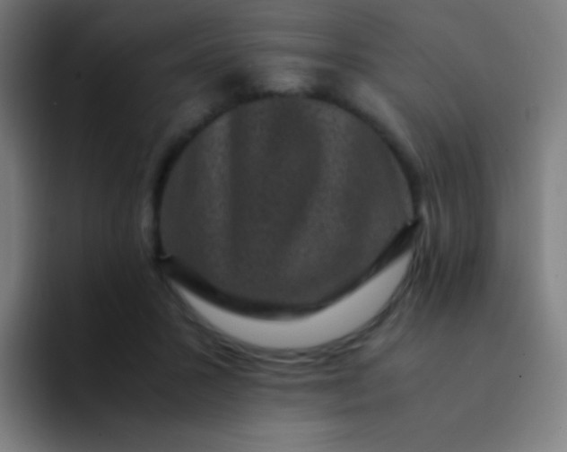 X0000094340407200711162014