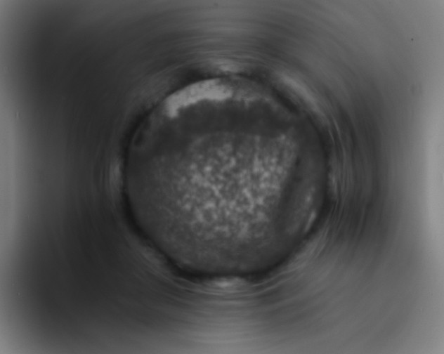 X0000094340410200711162014