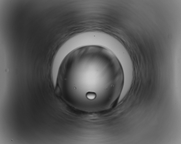 X0000094340411200711162014