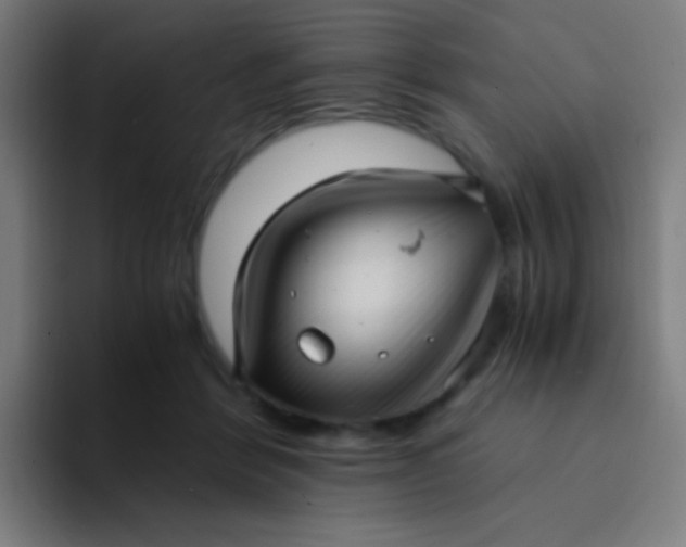 X0000094340412200711162014