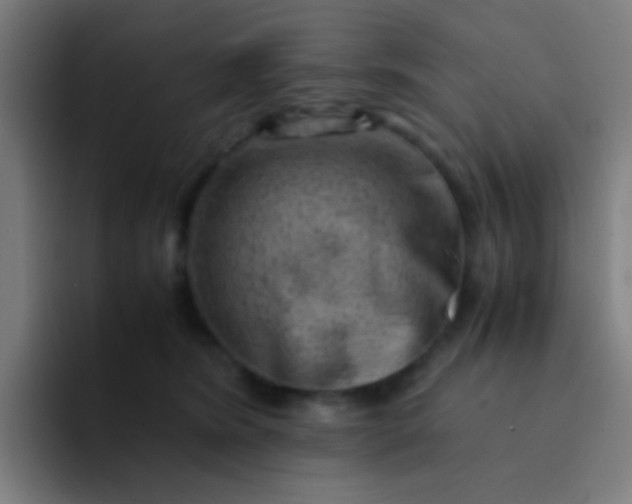 X0000094340420200711162014