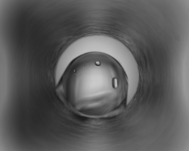 X0000094340423200711162014