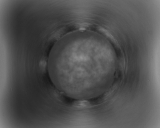 X0000094340427200711162013