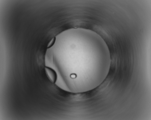 X0000094340430200711162013