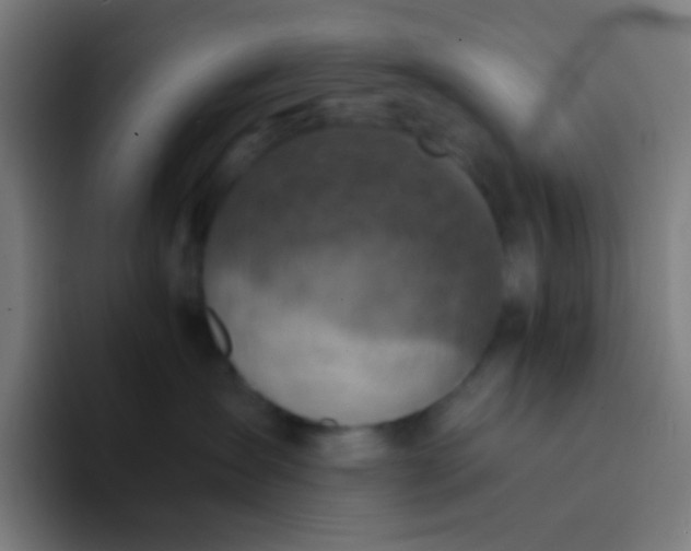 X0000094340431200711162013