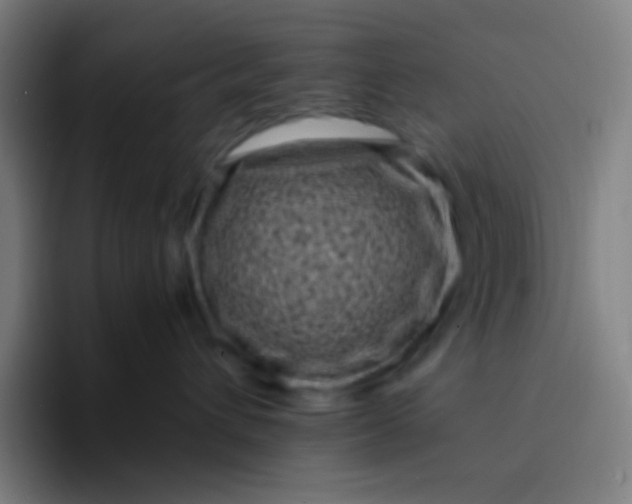 X0000094340432200711162013