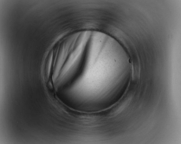 X0000094340435200711162013