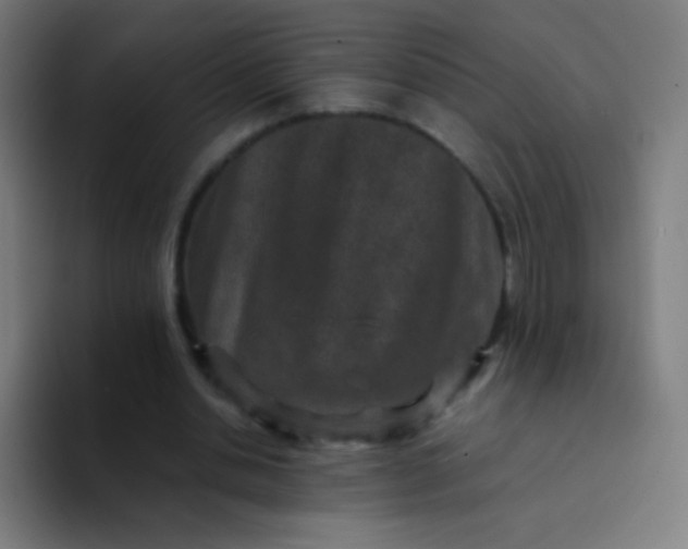 X0000094340438200711162013