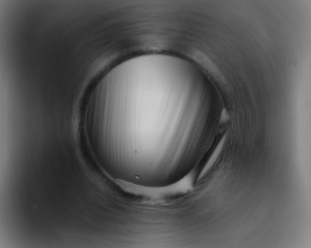 X0000094340440200711162013