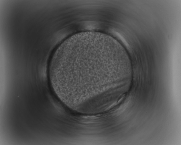 X0000094340443200711162013