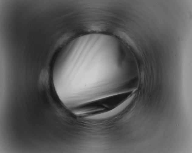 X0000094340444200711162013