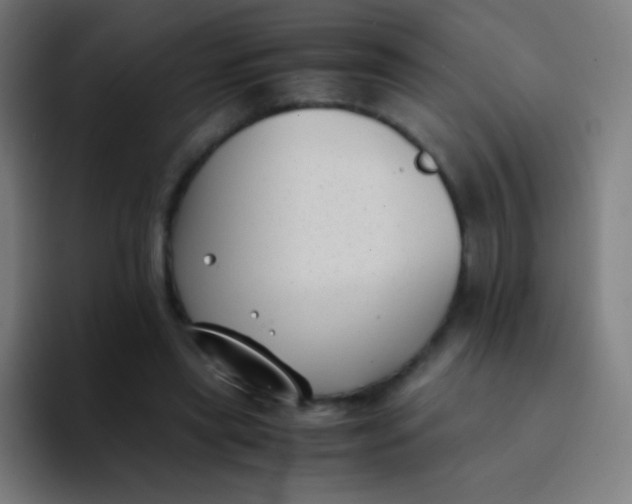 X0000094340445200711162013