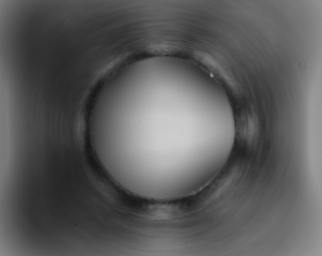 X0000094340448200711162013