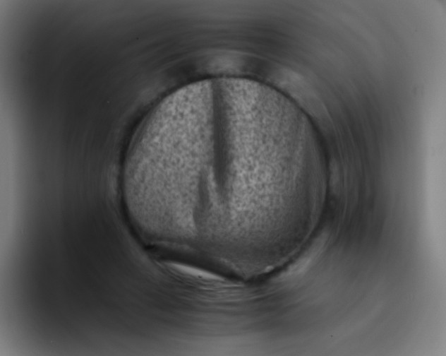 X0000094340449200711162013