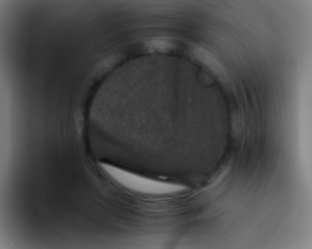 X0000094340451200711162013