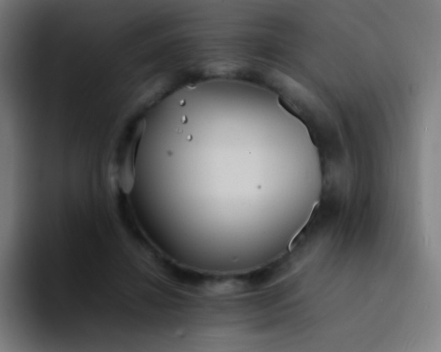 X0000094340452200711162013