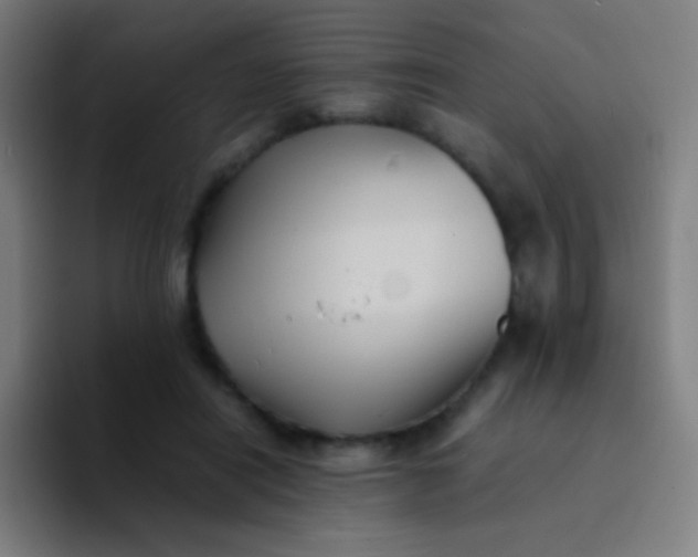 X0000094340454200711162013