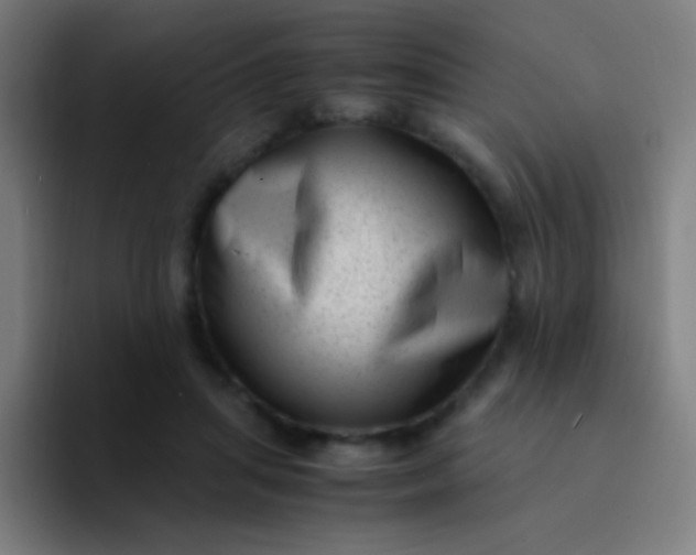 X0000094340455200711162013