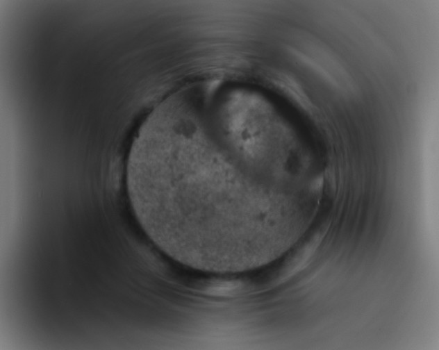 X0000094340458200711162013