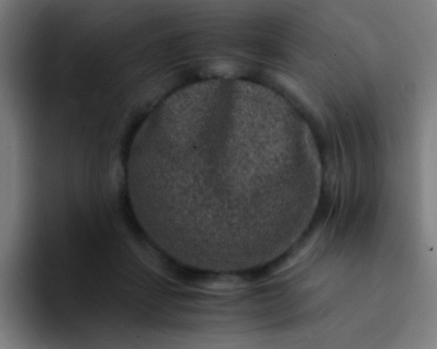 X0000094340459200711162013