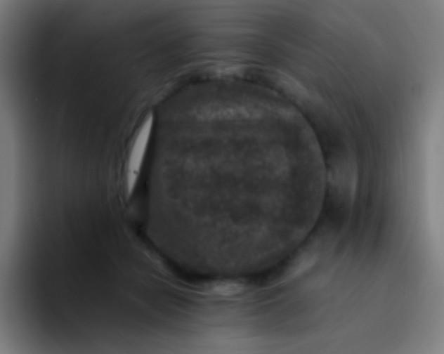 X0000094340462200711162013