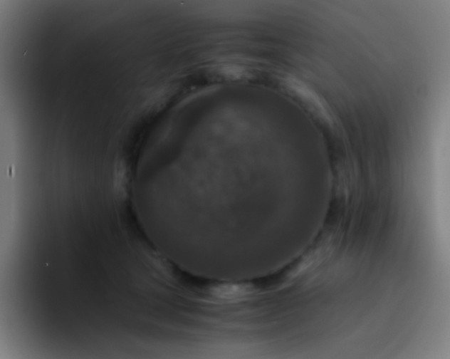 X0000094340465200711162013